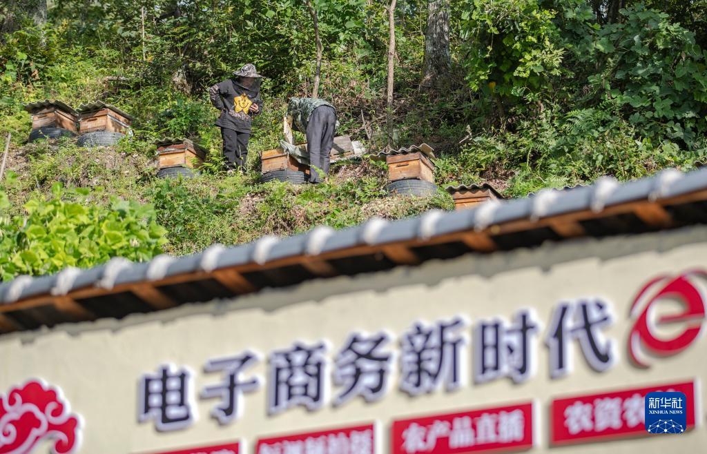 正规飞禽走兽